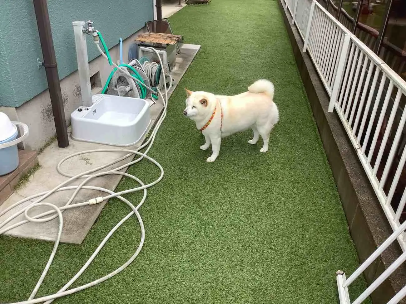 工事後差し替え②